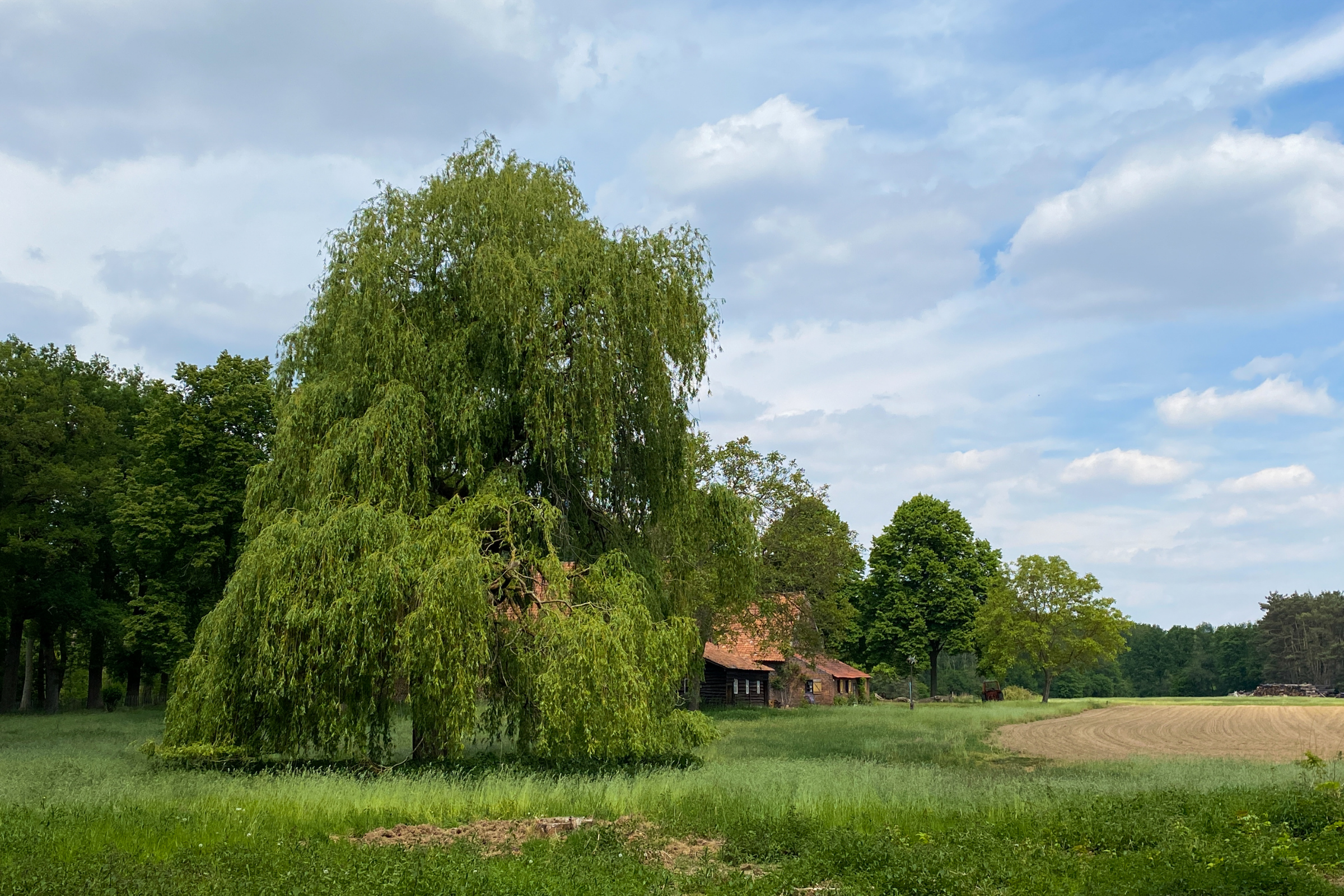 venlo (4).webp